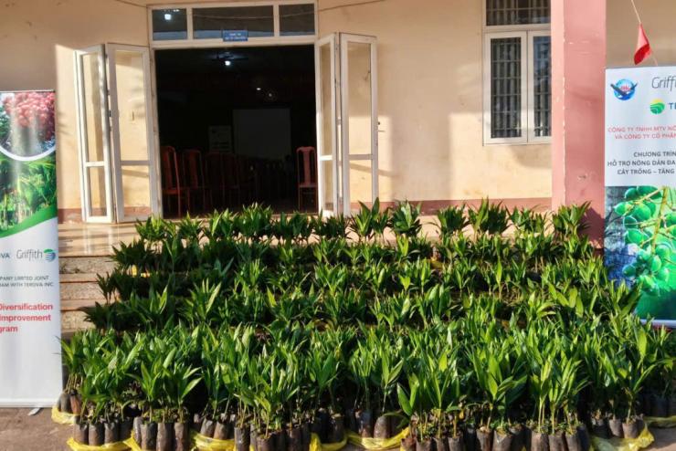 DK Commodity Co., Ltd. Partners with Farmers to Diversify Crops, Improve Livelihoods, and Promote Sustainable Development