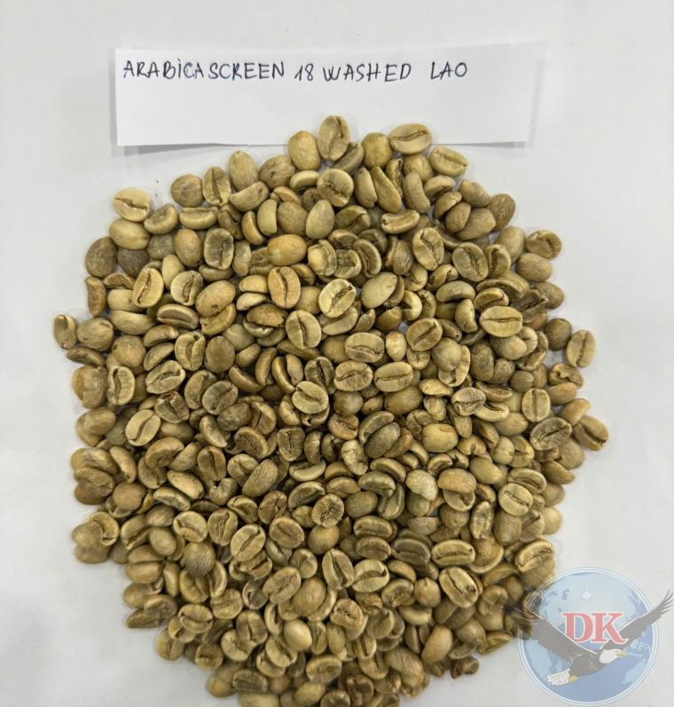 Arabia screen 18 Washed Lao