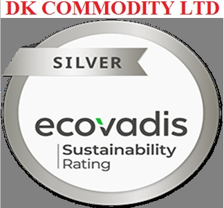 ECOVADIS SILVER MEDAL